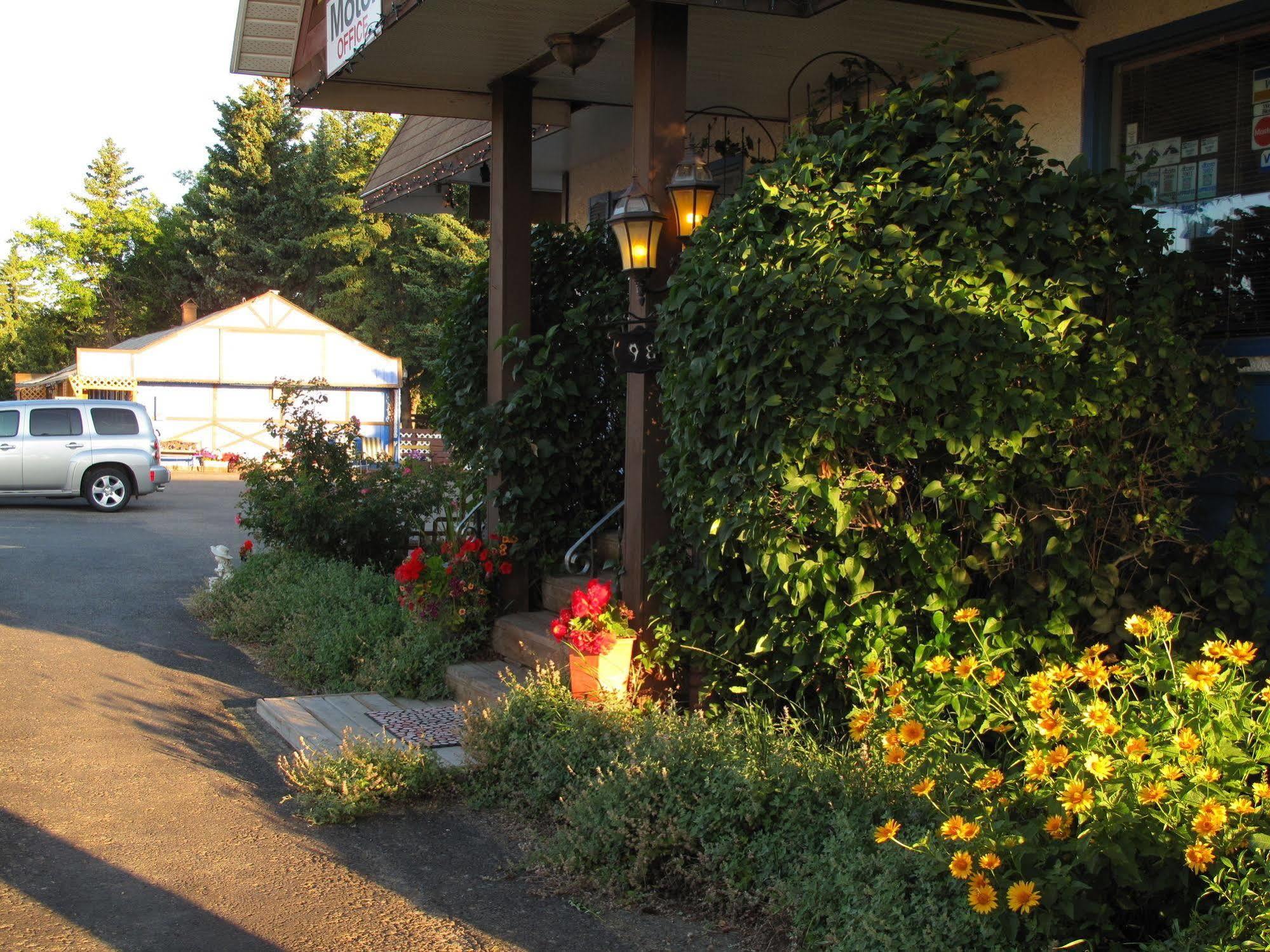 פינצ'ר קריק Blue Mountain Motel מראה חיצוני תמונה